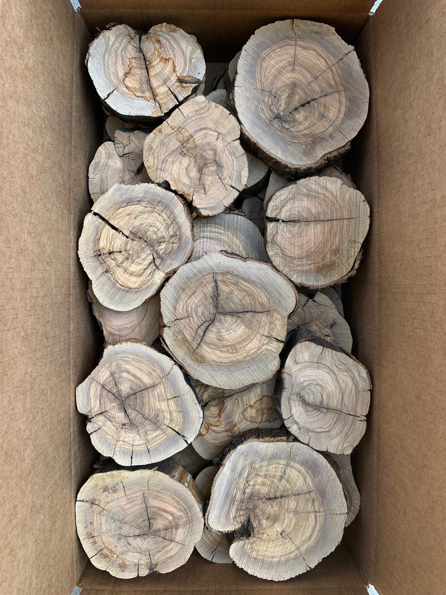 box of olivewood slices for sale