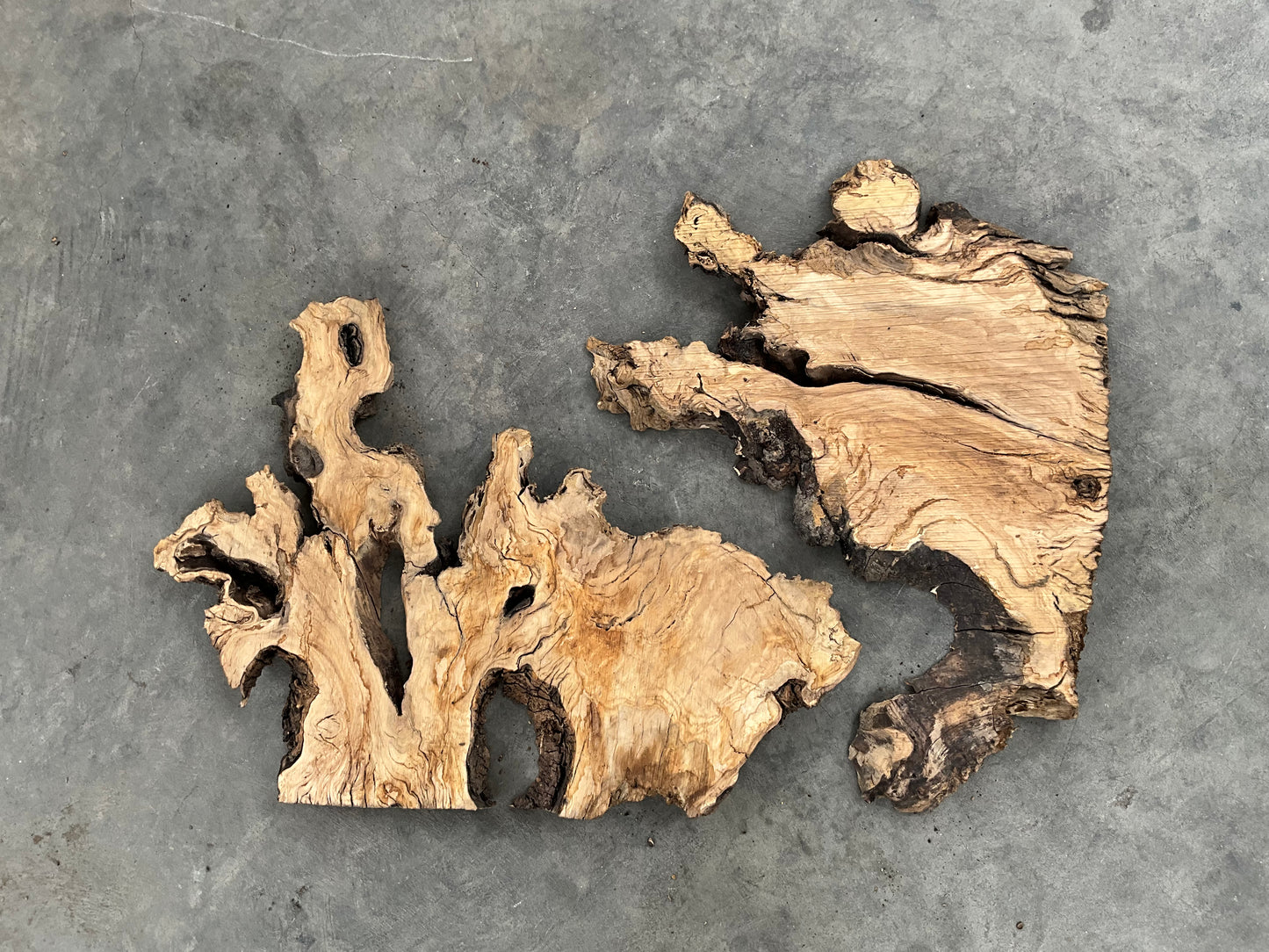 Olive wood slab