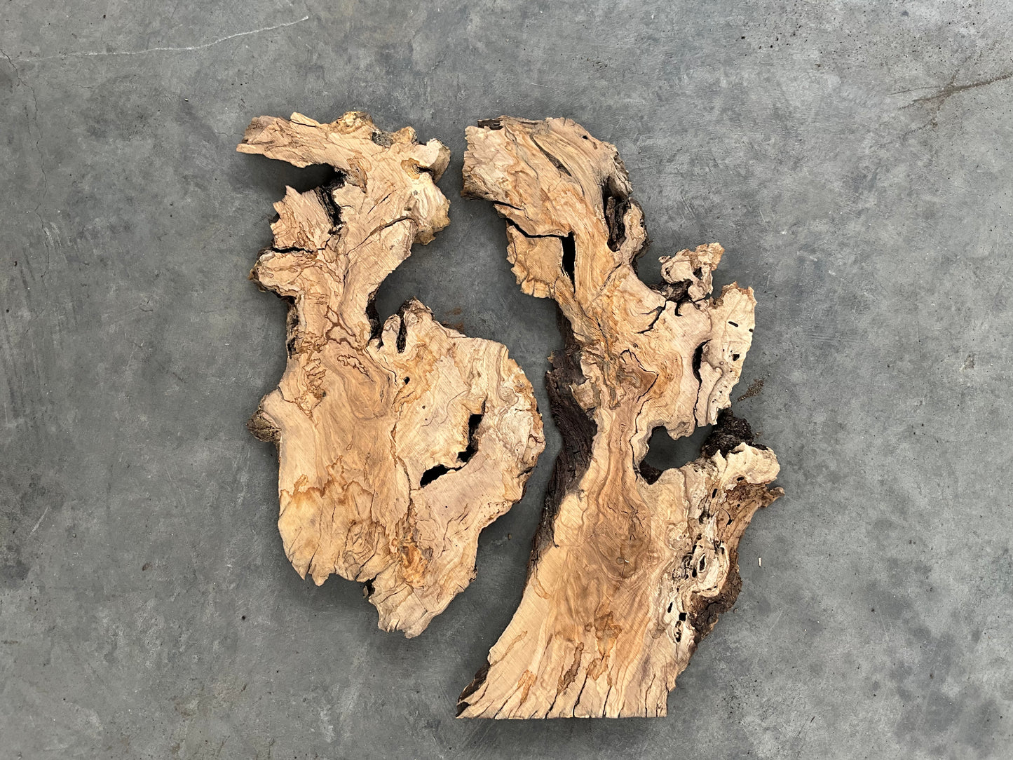 olive wood slabs