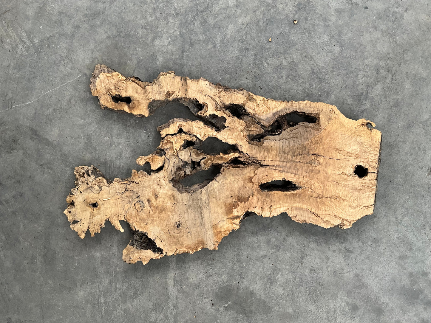 olive wood slab