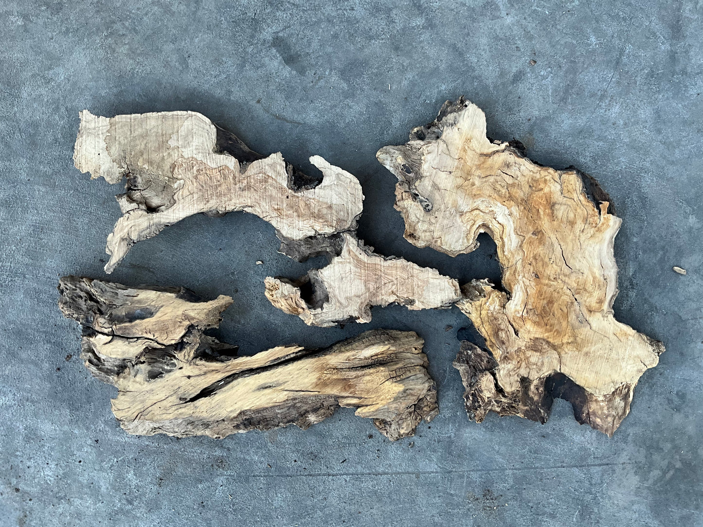 olive wood slabs