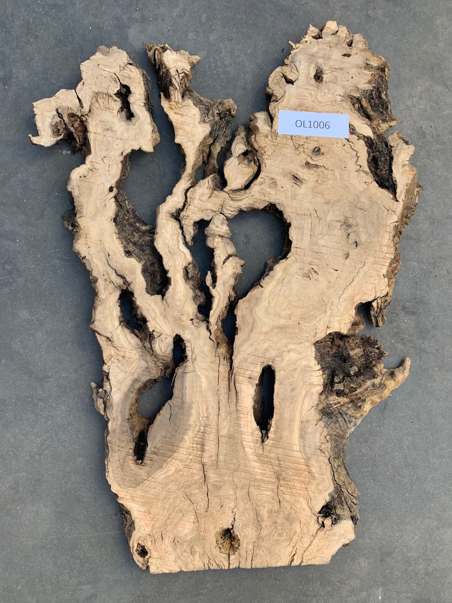 Mission olive wood slab