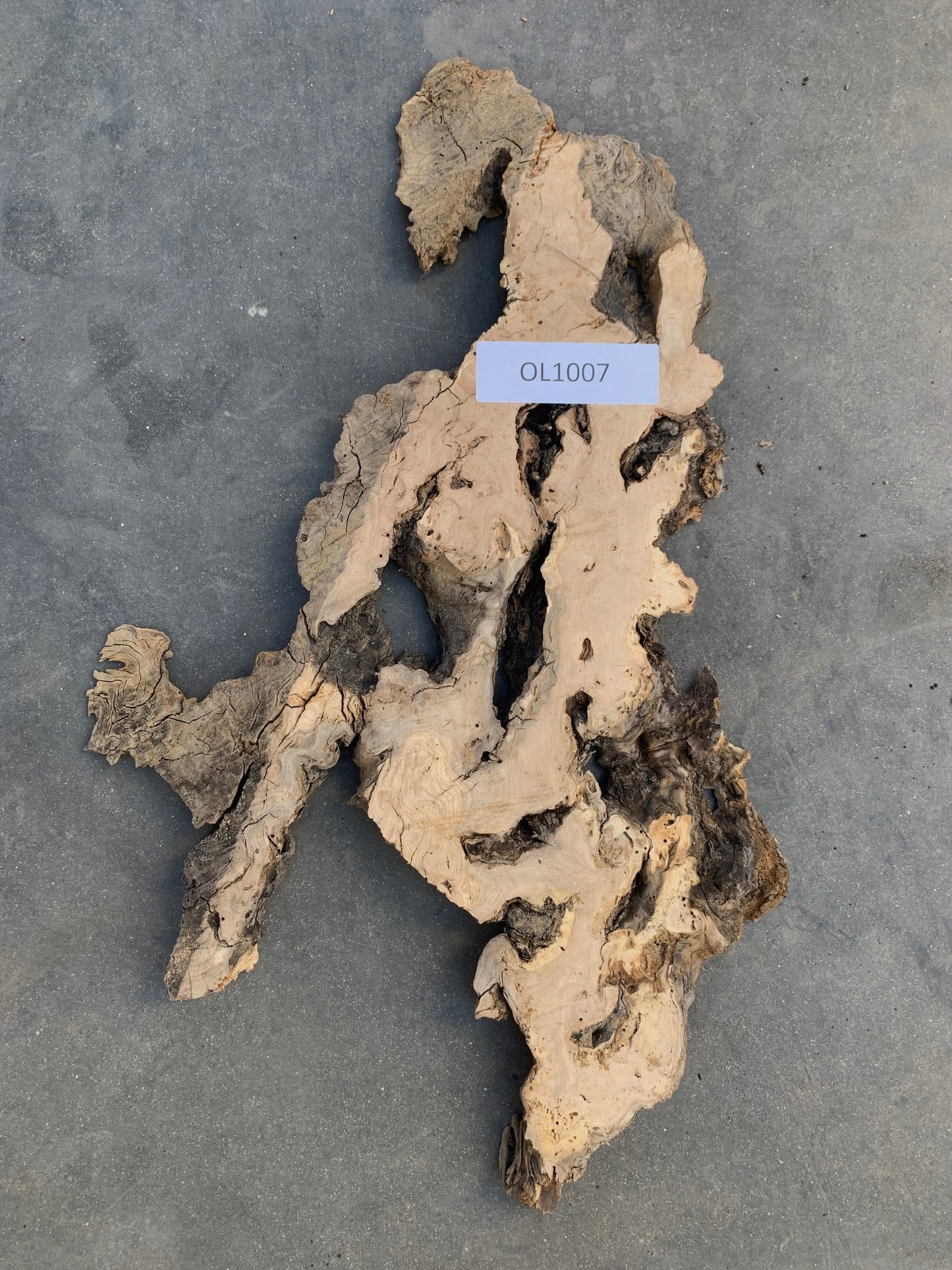 Mission Olive wood slab
