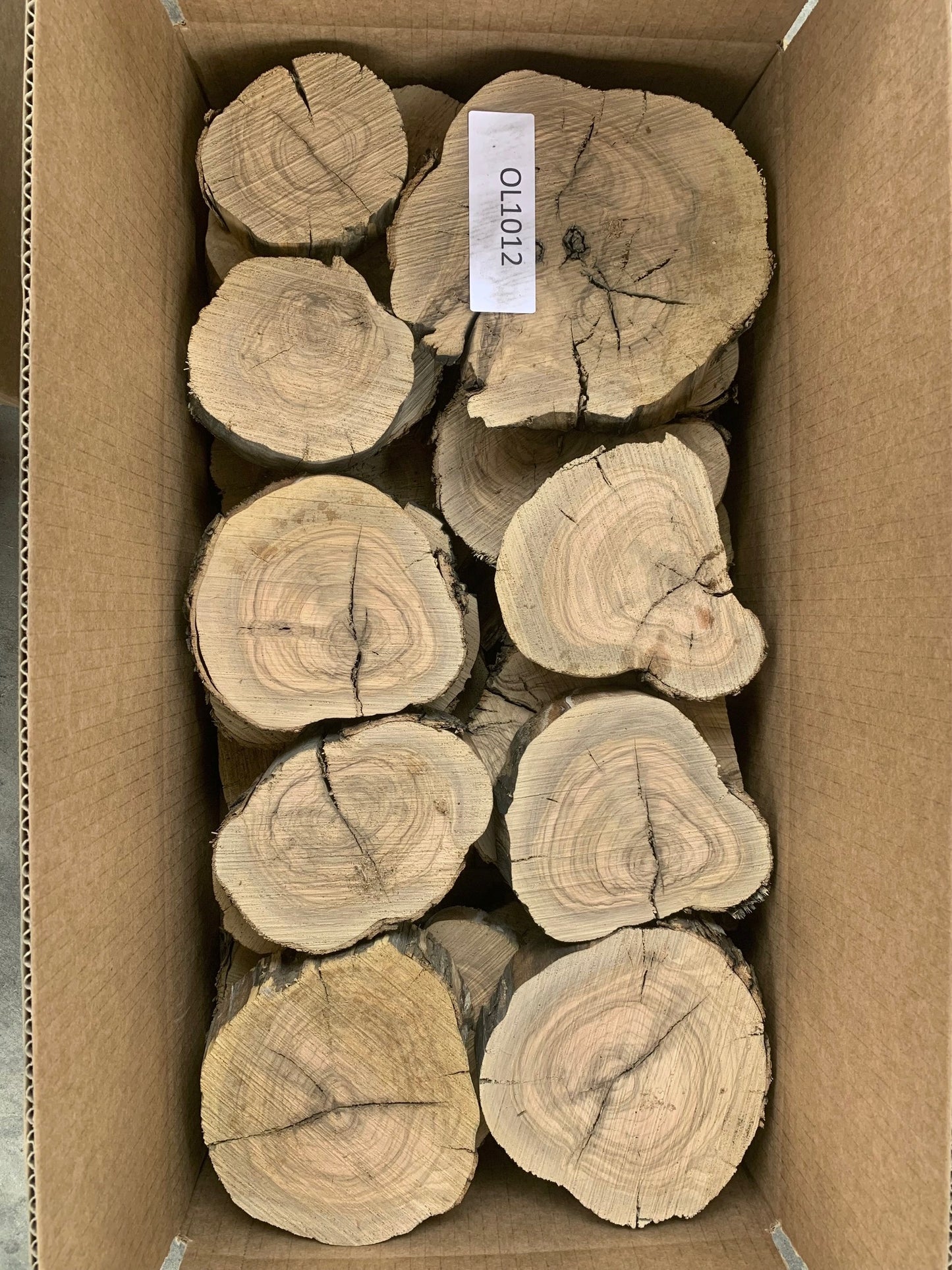 Assorted 5/4 Olive Wood Slices_OL1012