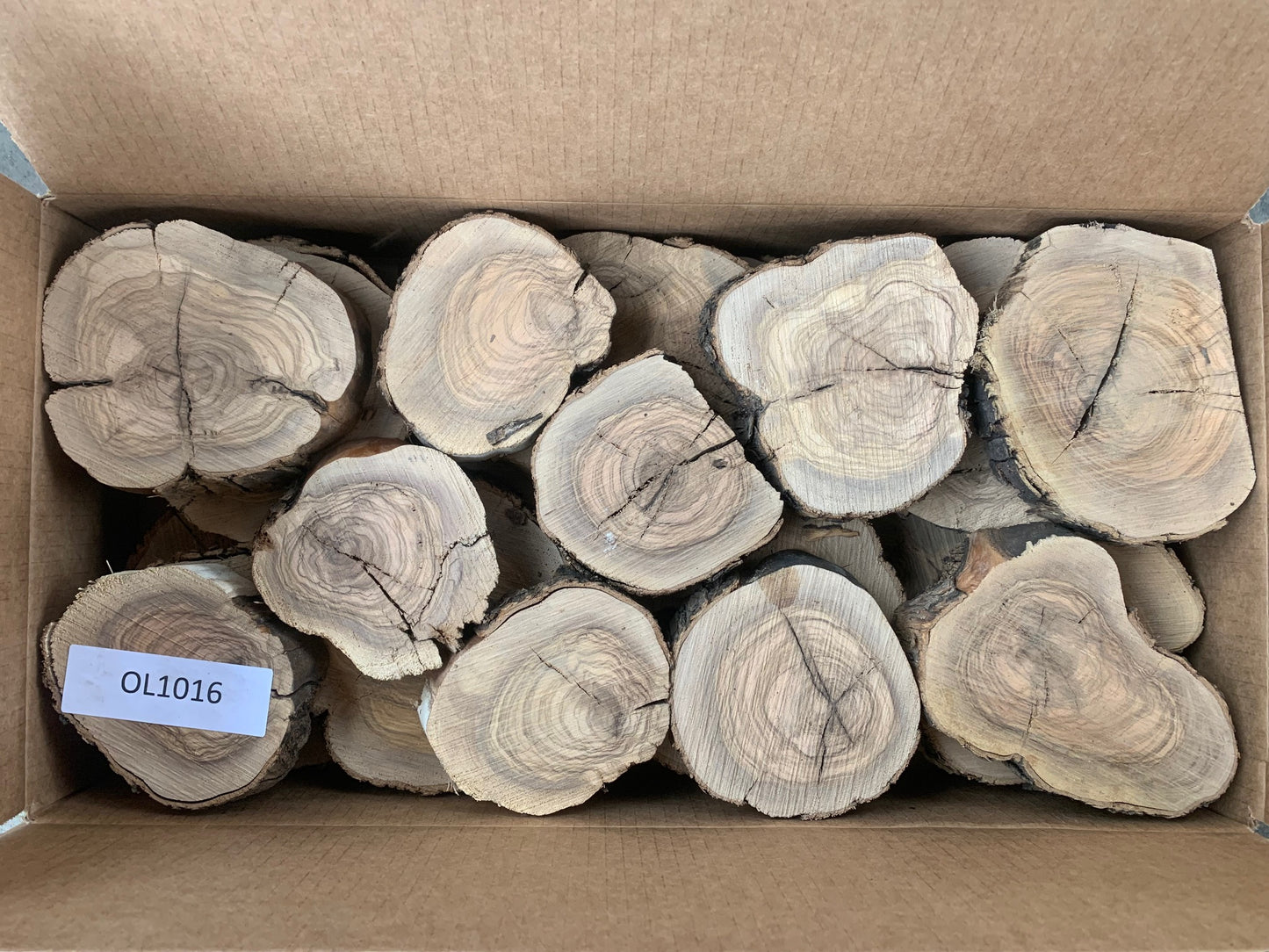 olive wood slices for sale