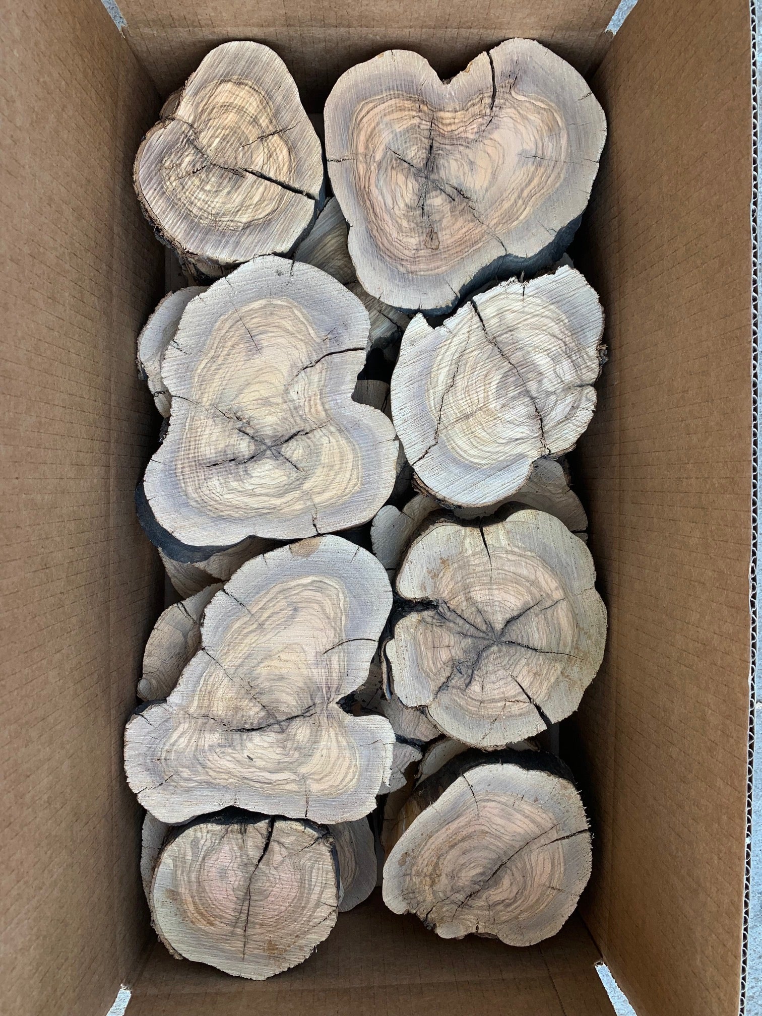 Box of olive log slices with visible grain patterns