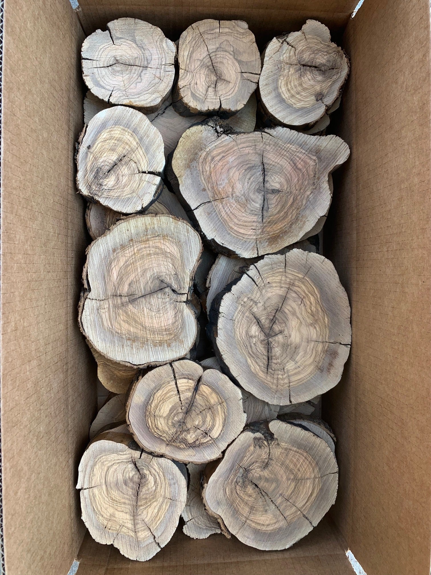 box containing rustic olive wood slices with visible grain patterns