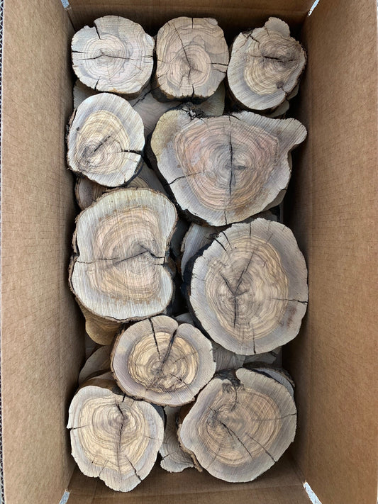 box containing rustic olive wood slices with visible grain patterns