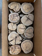 Box filled with olive wood slices for sale