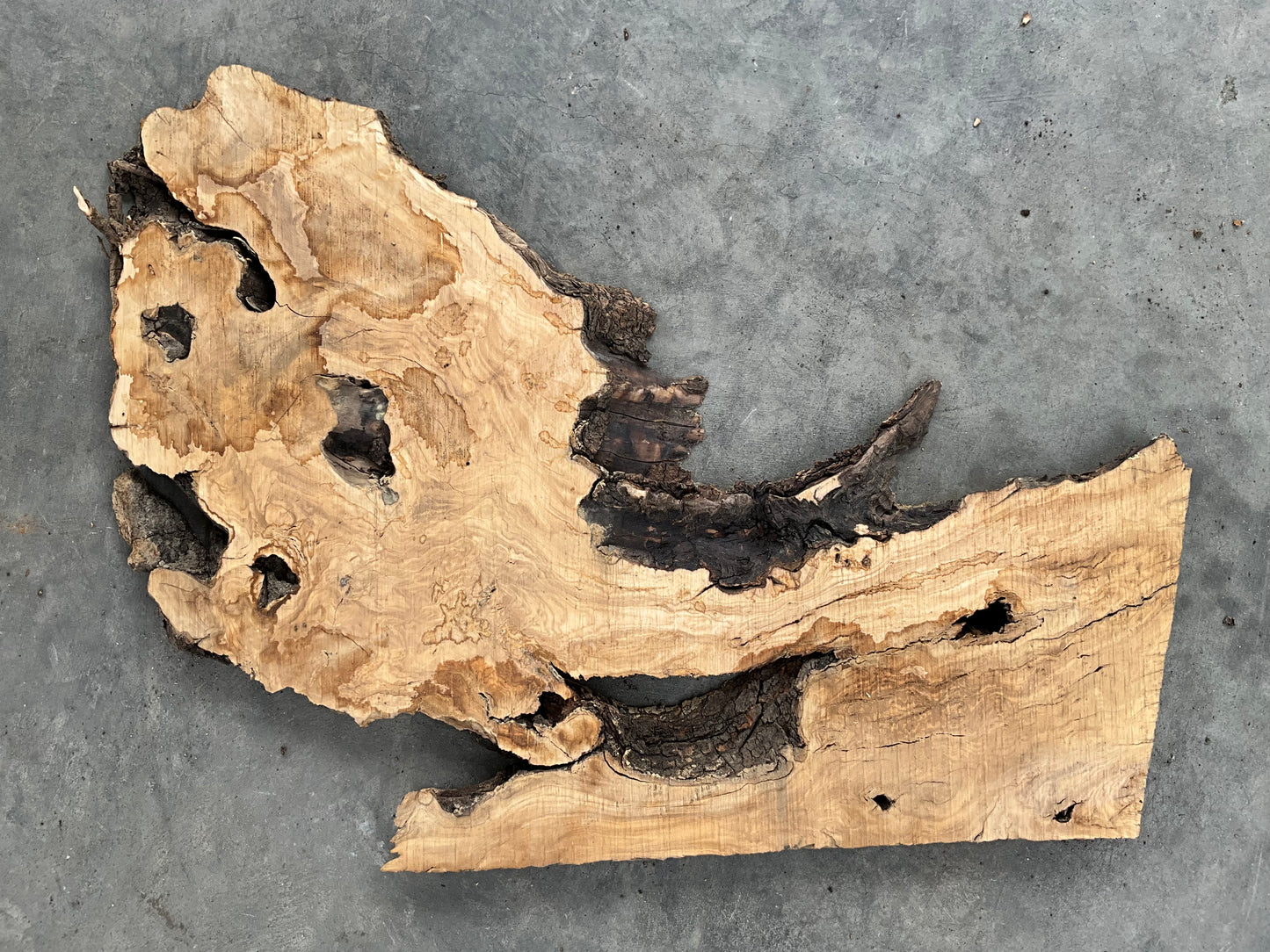 Olive wood slab for resin projects