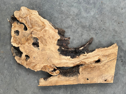 Olive wood slab for resin projects