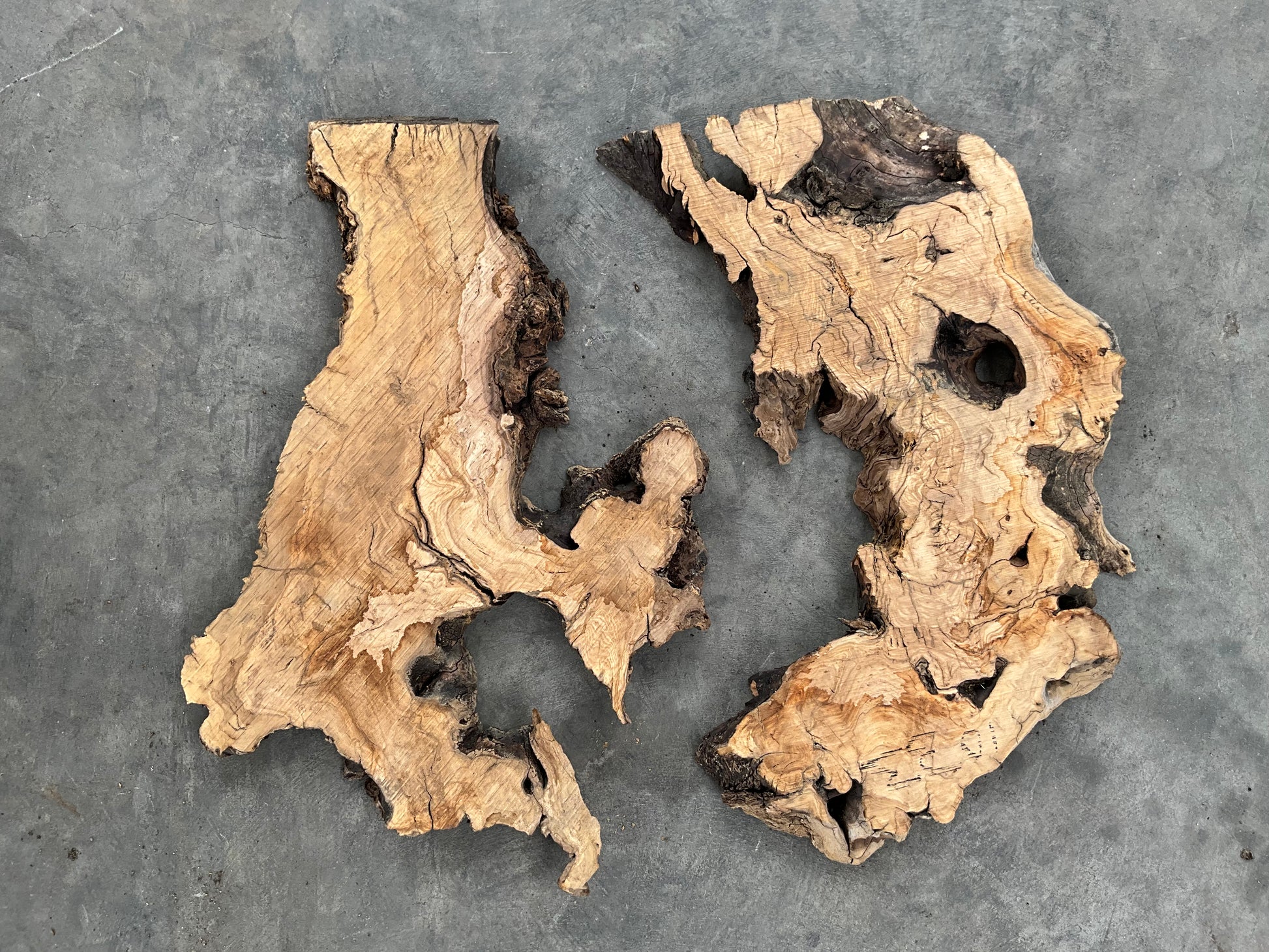 set of 2 olive slabs for resin project