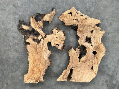 set of 2 olive wood slabs for resin project