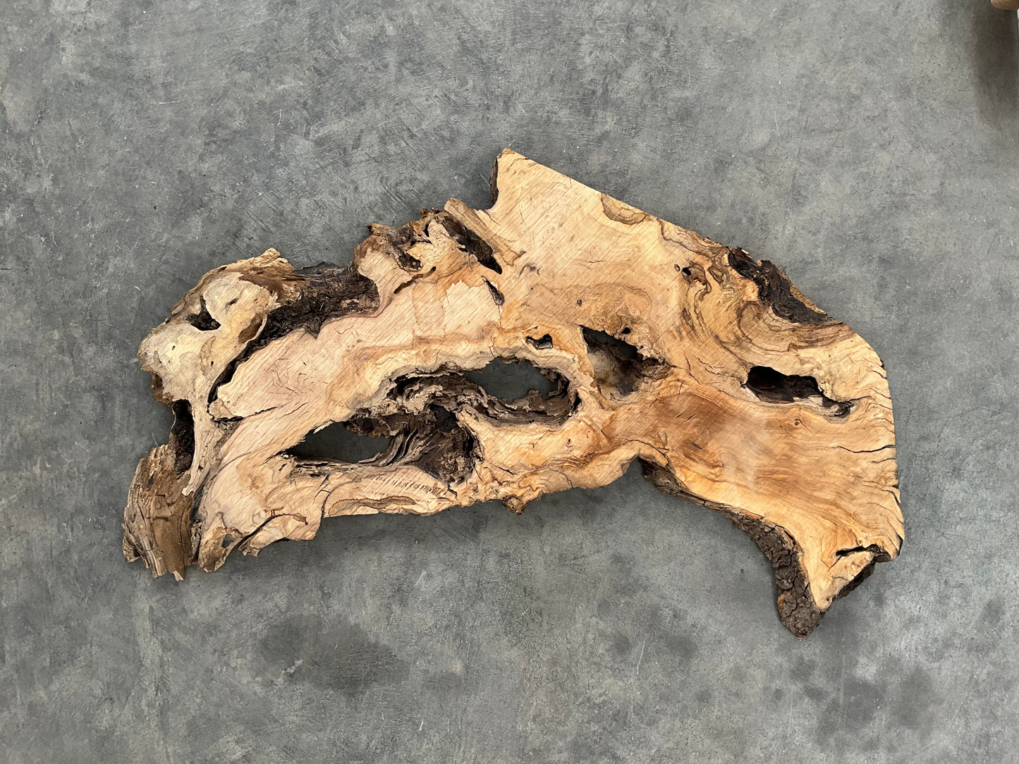 live edge olive wood slab