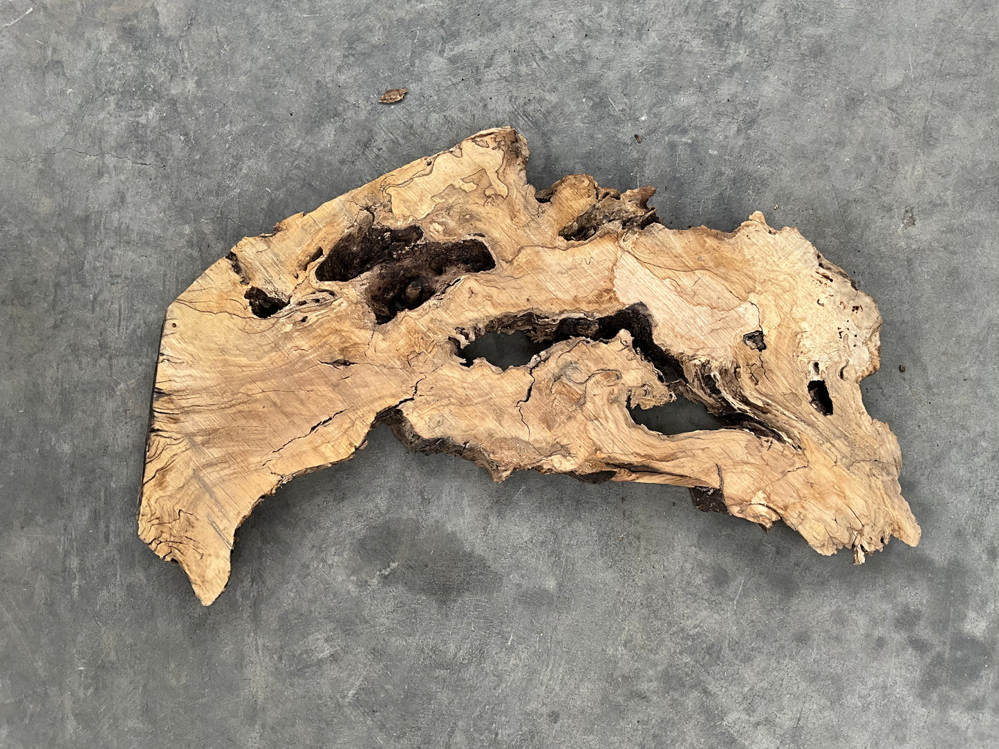 live edge olive wood slab