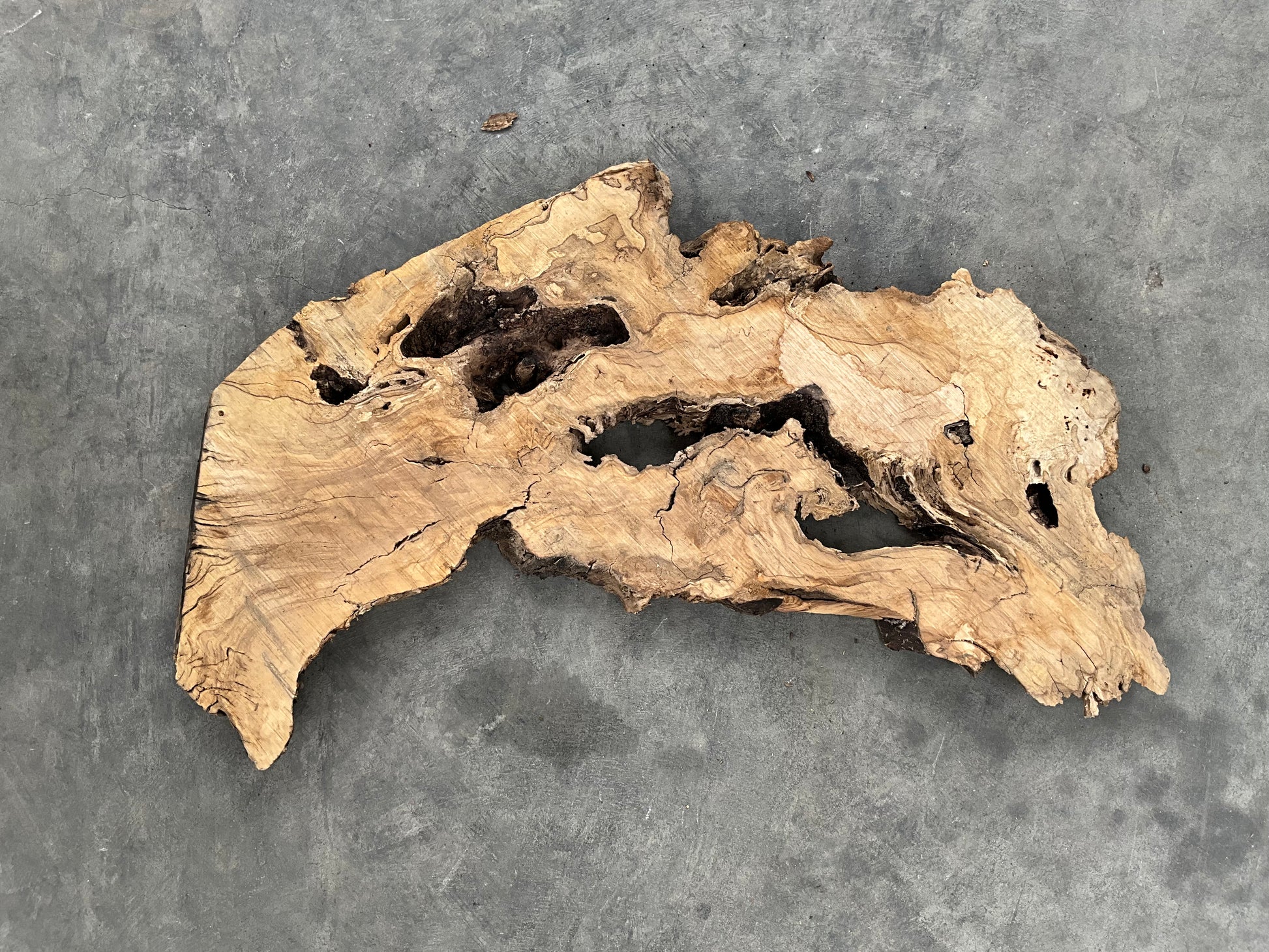 live edge olive wood slab