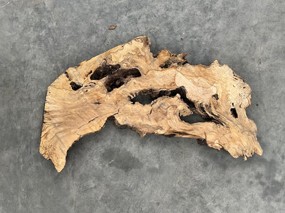 live edge olive wood slab