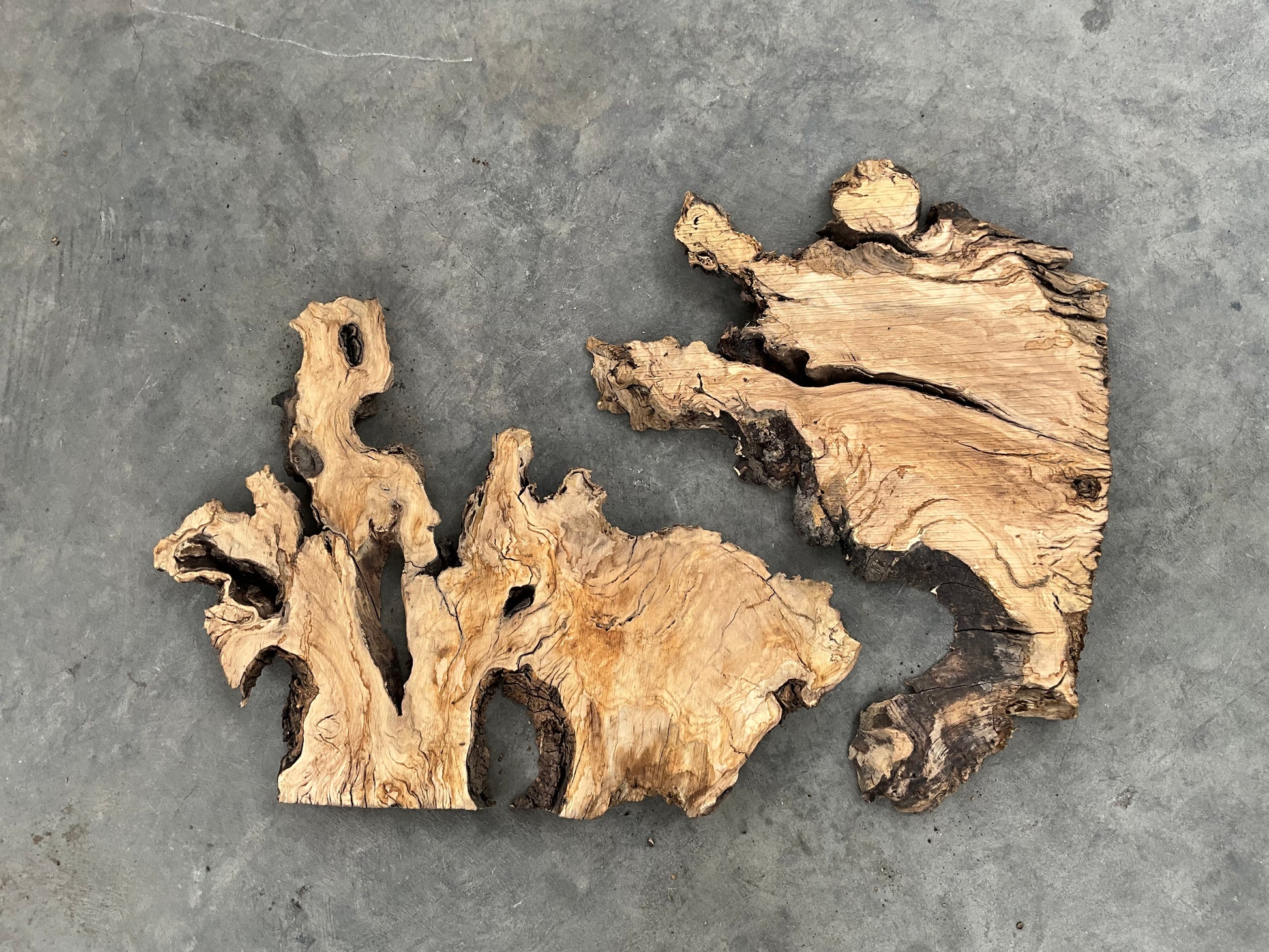 Olive wood slab