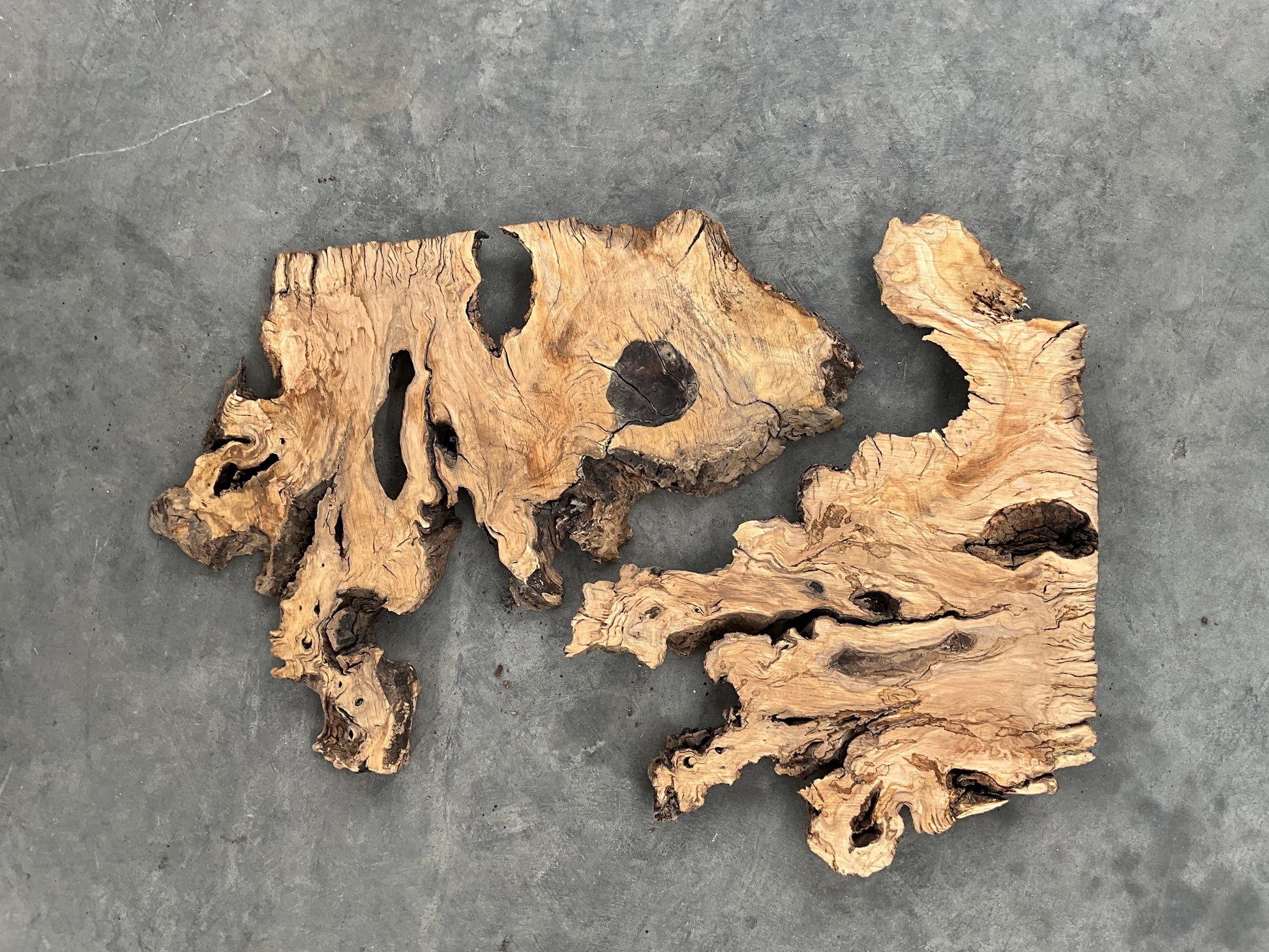 Mission Olive Live Edge Slab