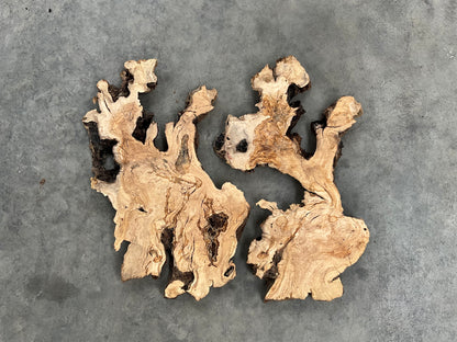 Olive wood slabs
