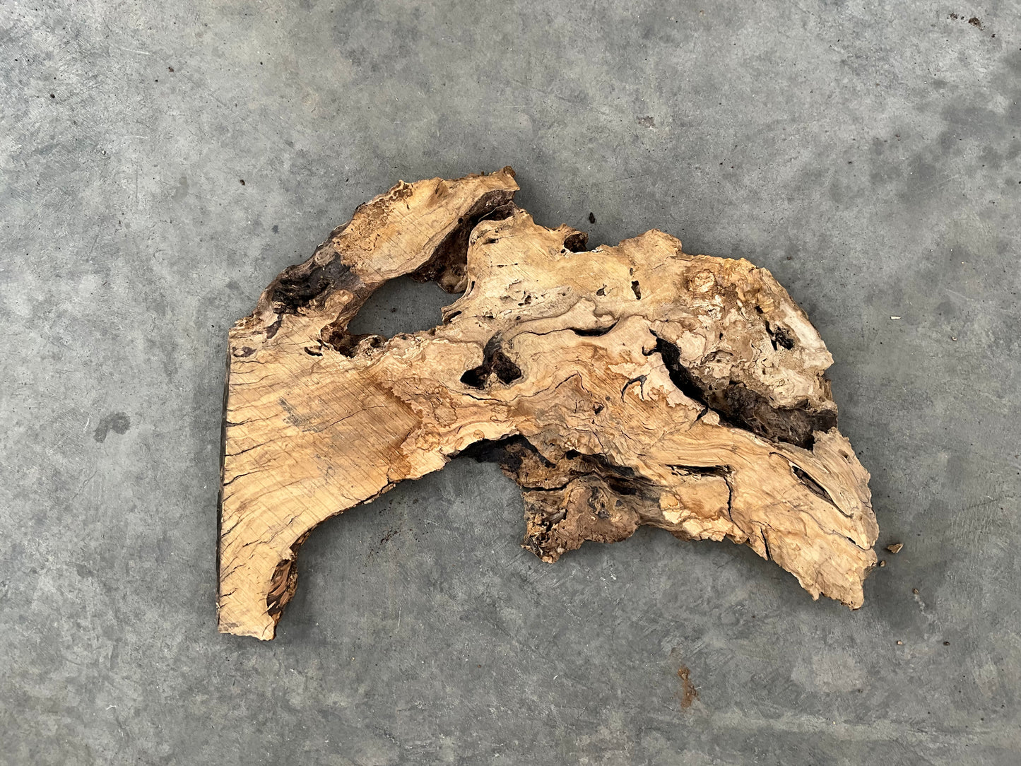 olive wood slab for resin project