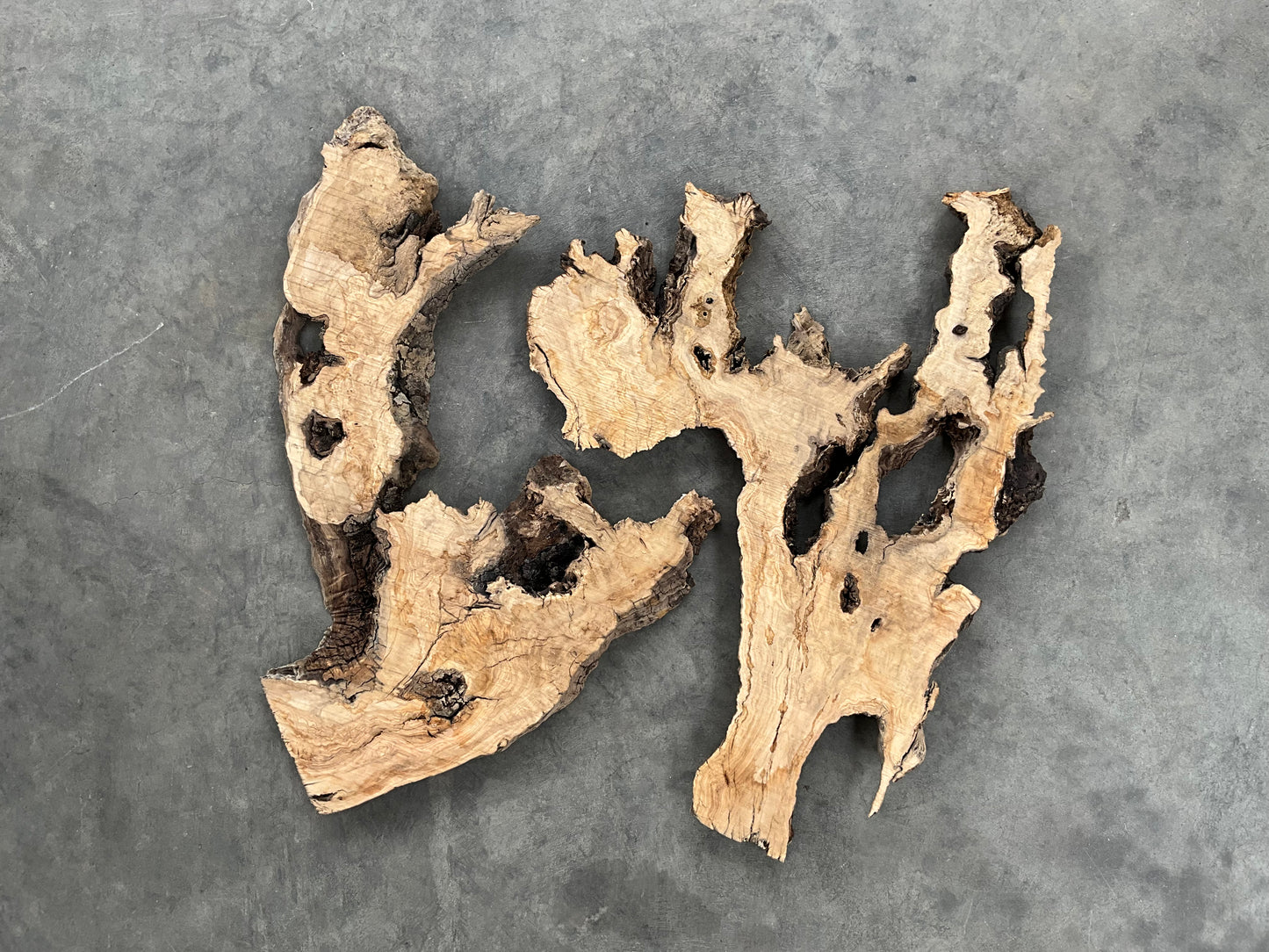 olive wood slabs