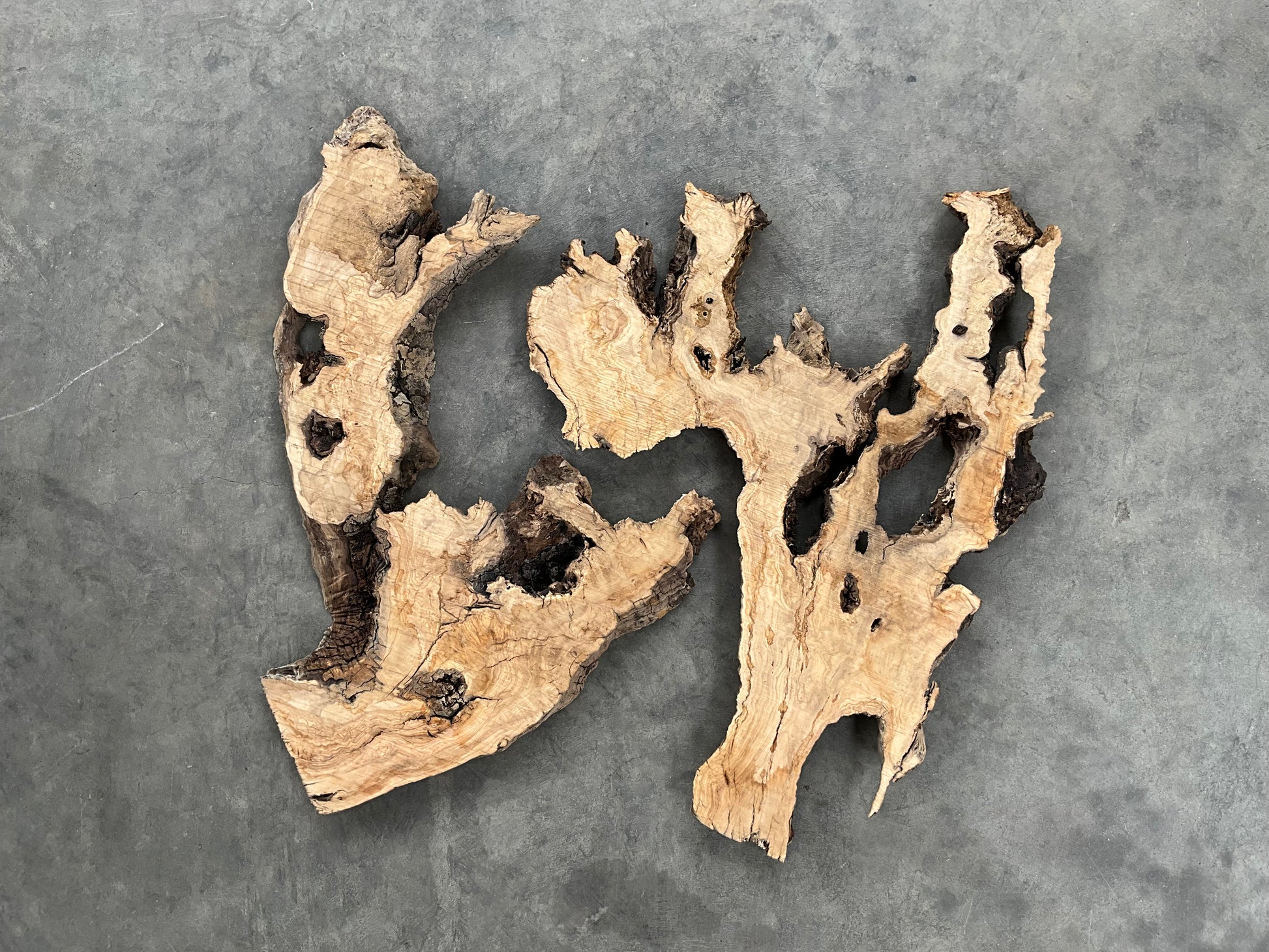 olive wood slabs