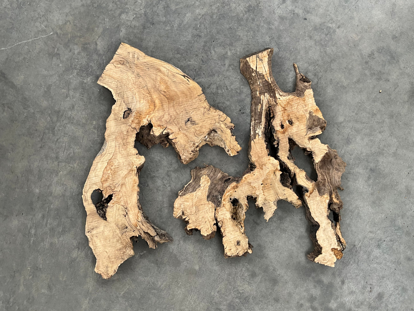 olive wood slabs