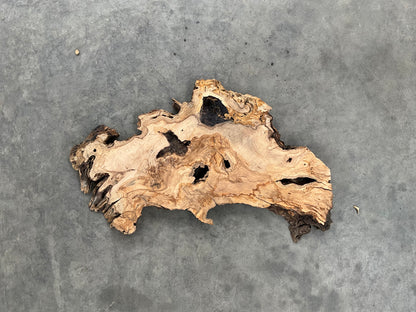 olive wood slab