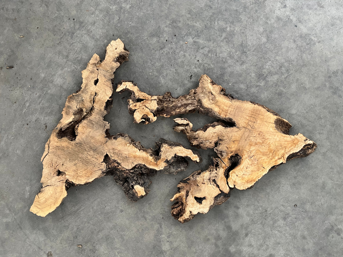 olive wood slabs