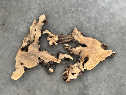 olive wood slabs