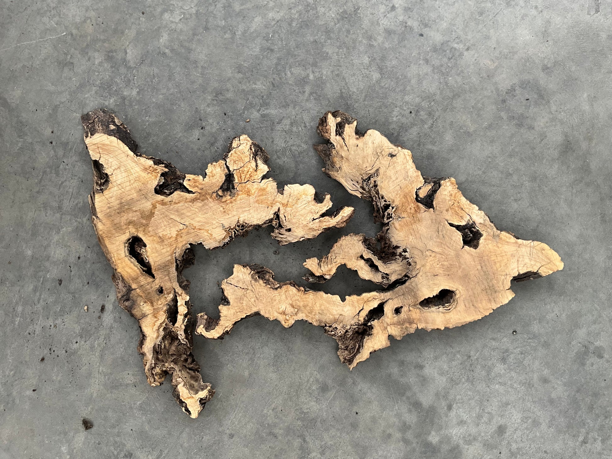 olive wood slabs