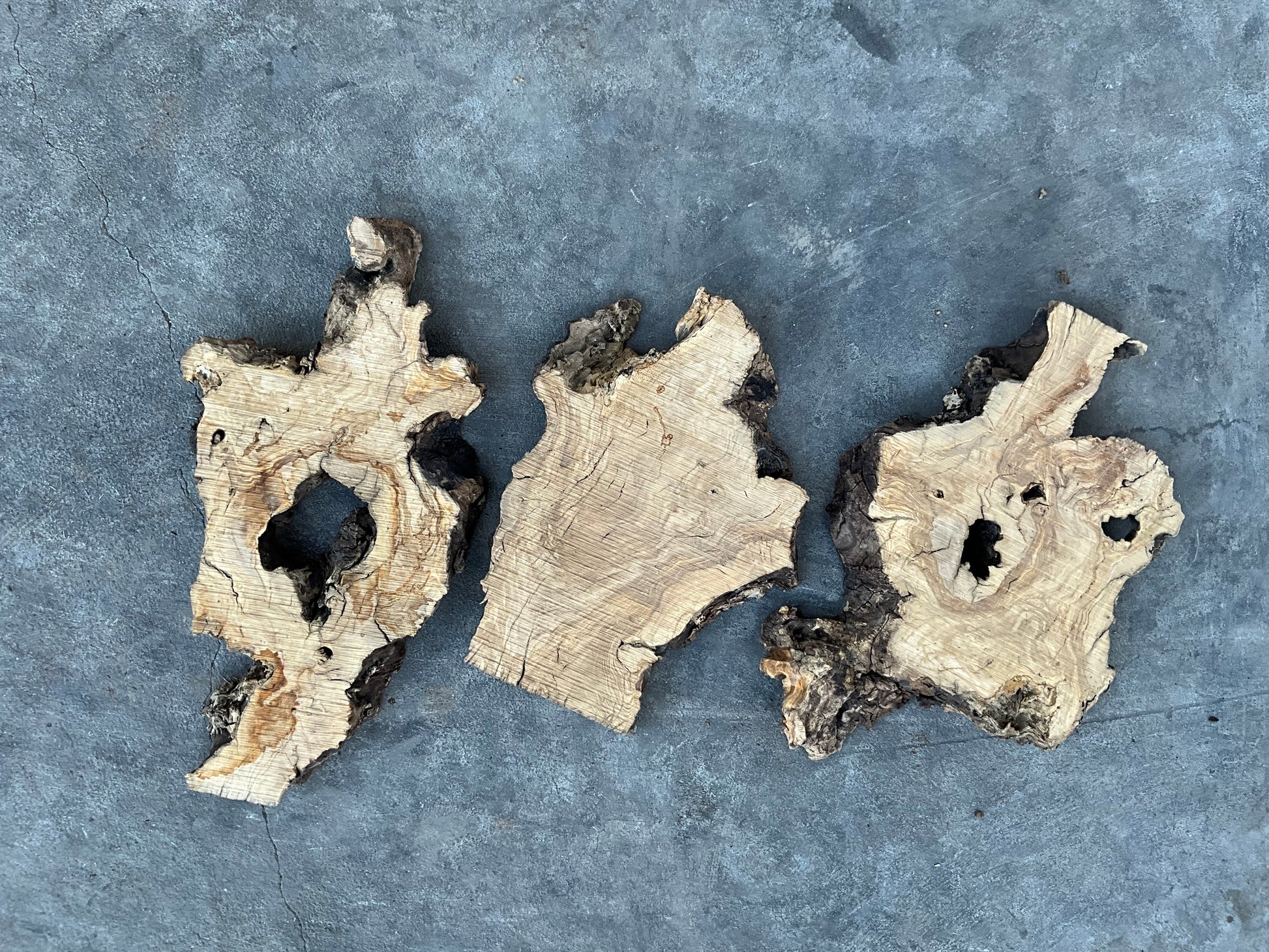 olive wood slabs