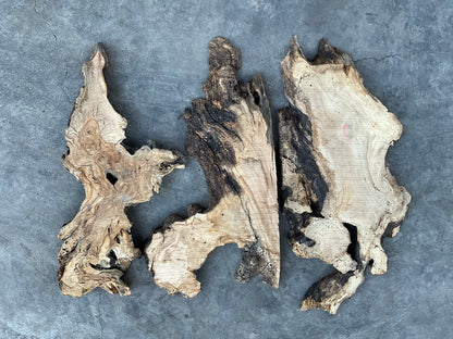 olive wood slabs