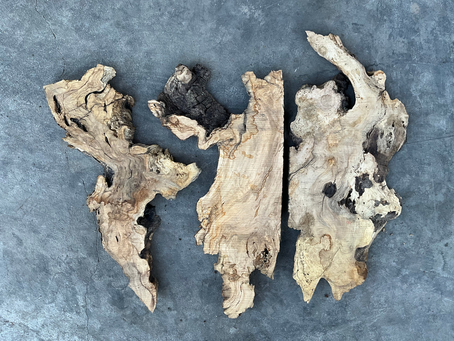 olive wood slabs