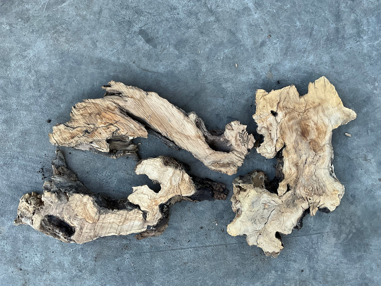 olive wood slabs