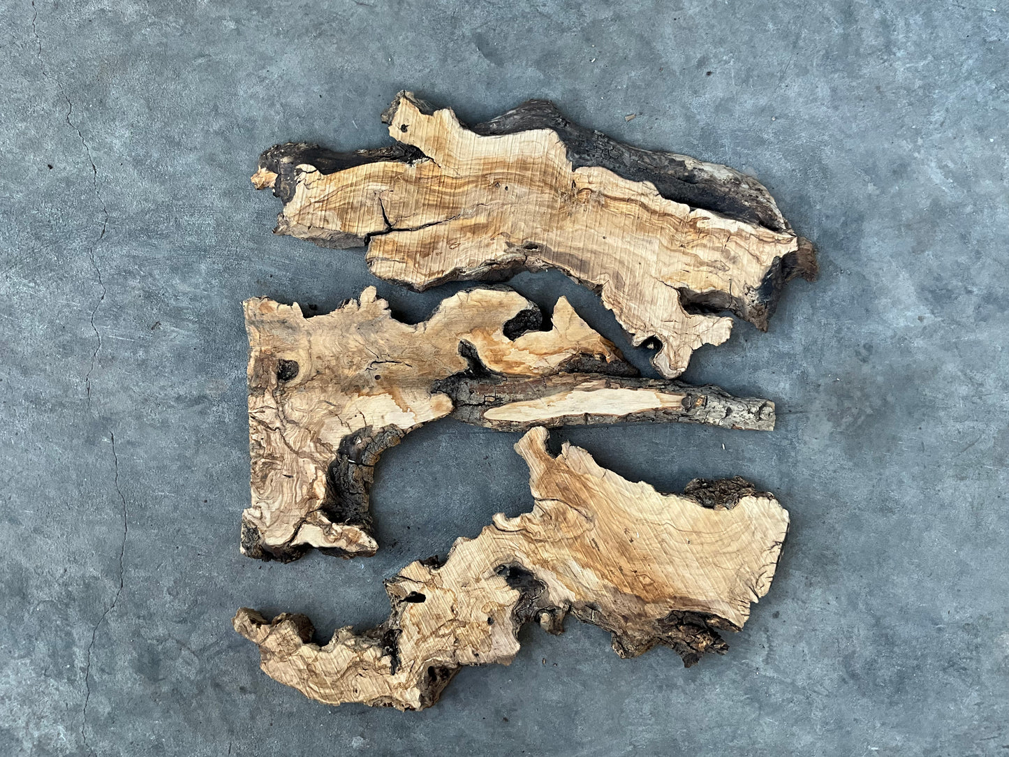 olive wood slabs