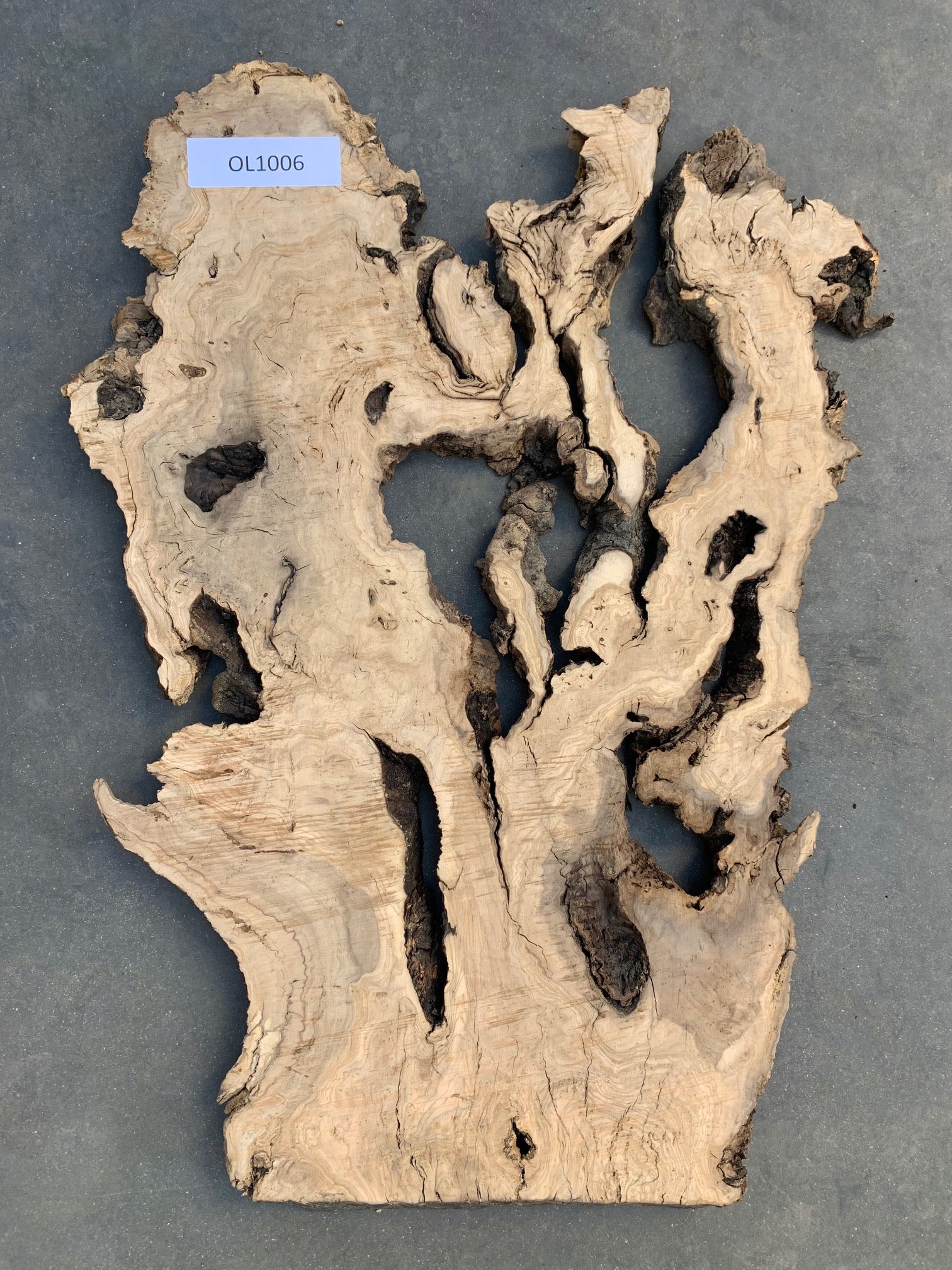 Mission Olive wood slab