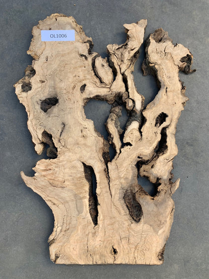 Mission Olive wood slab