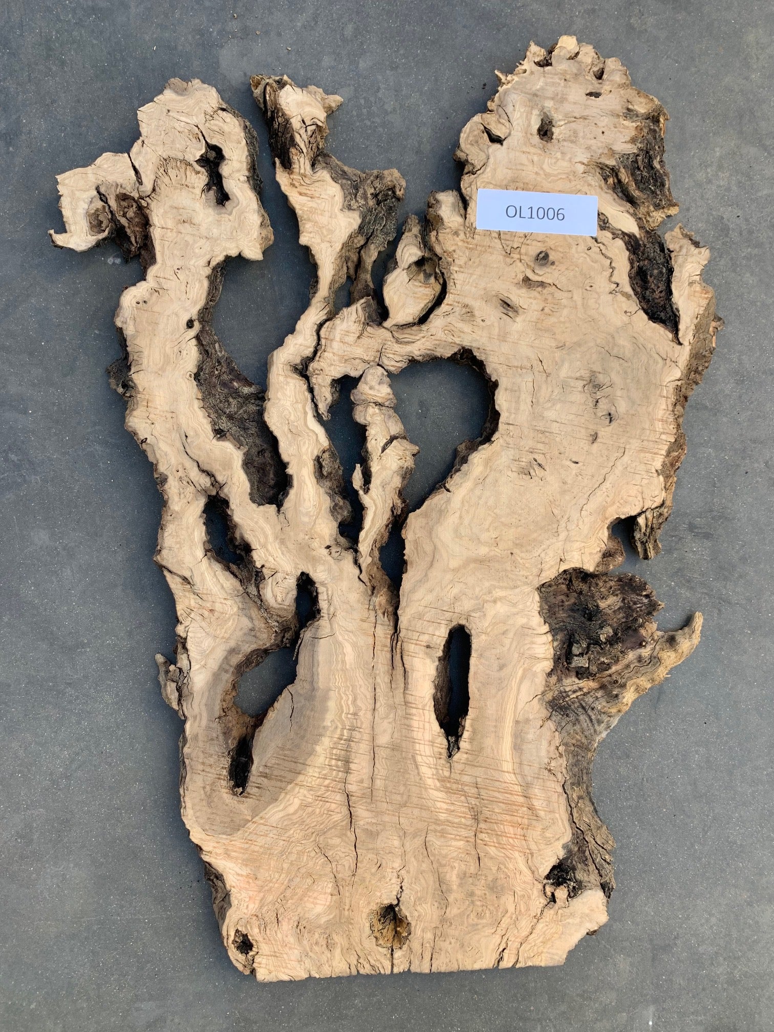 Mission olive wood slab