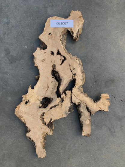 Mission olive wood slab 