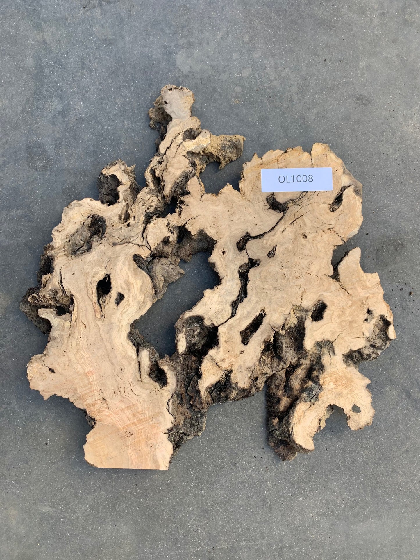 Mission Olive live edge wood slab