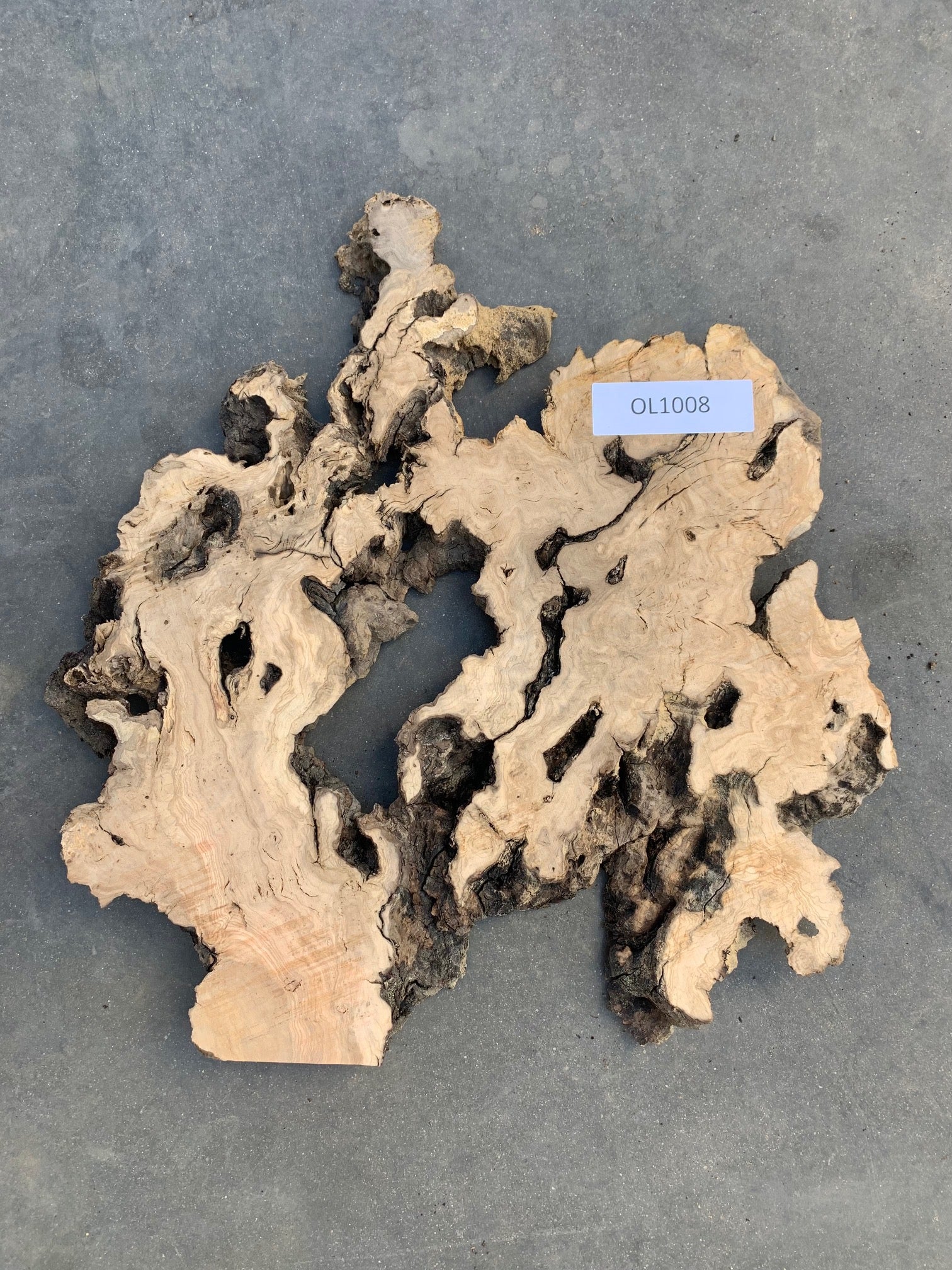 Mission Olive live edge wood slab