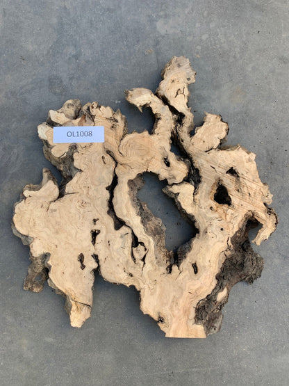 Mission olive live edge wood slab