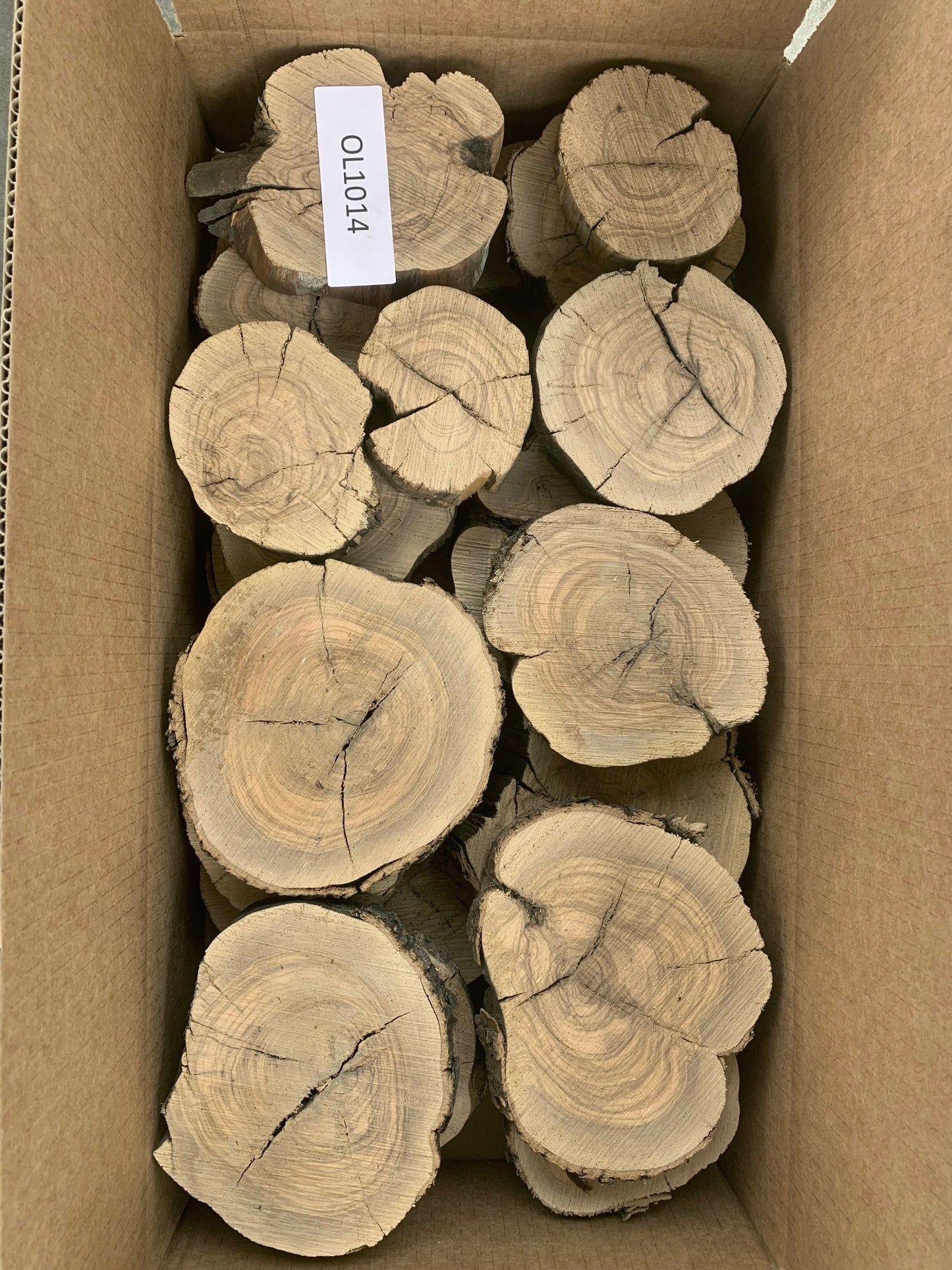 Assorted 5/4 Olive Wood Slices_OL1014