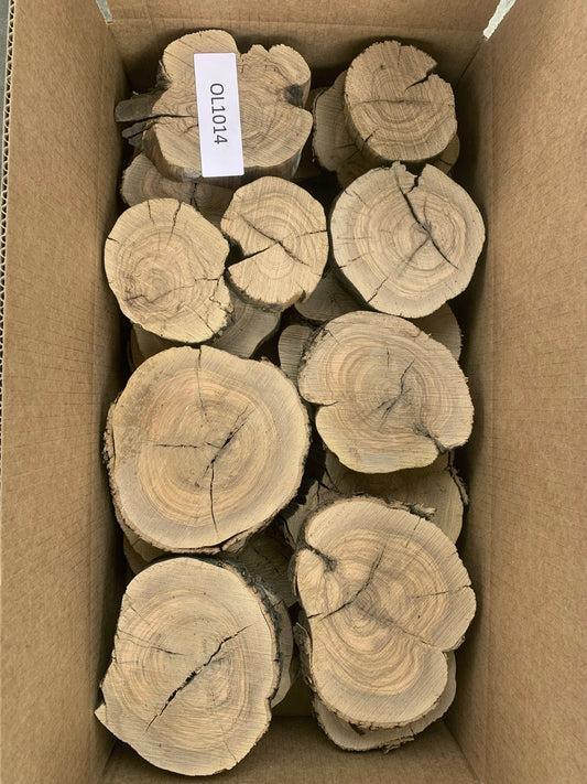 Assorted 5/4 Olive Wood Slices_OL1014