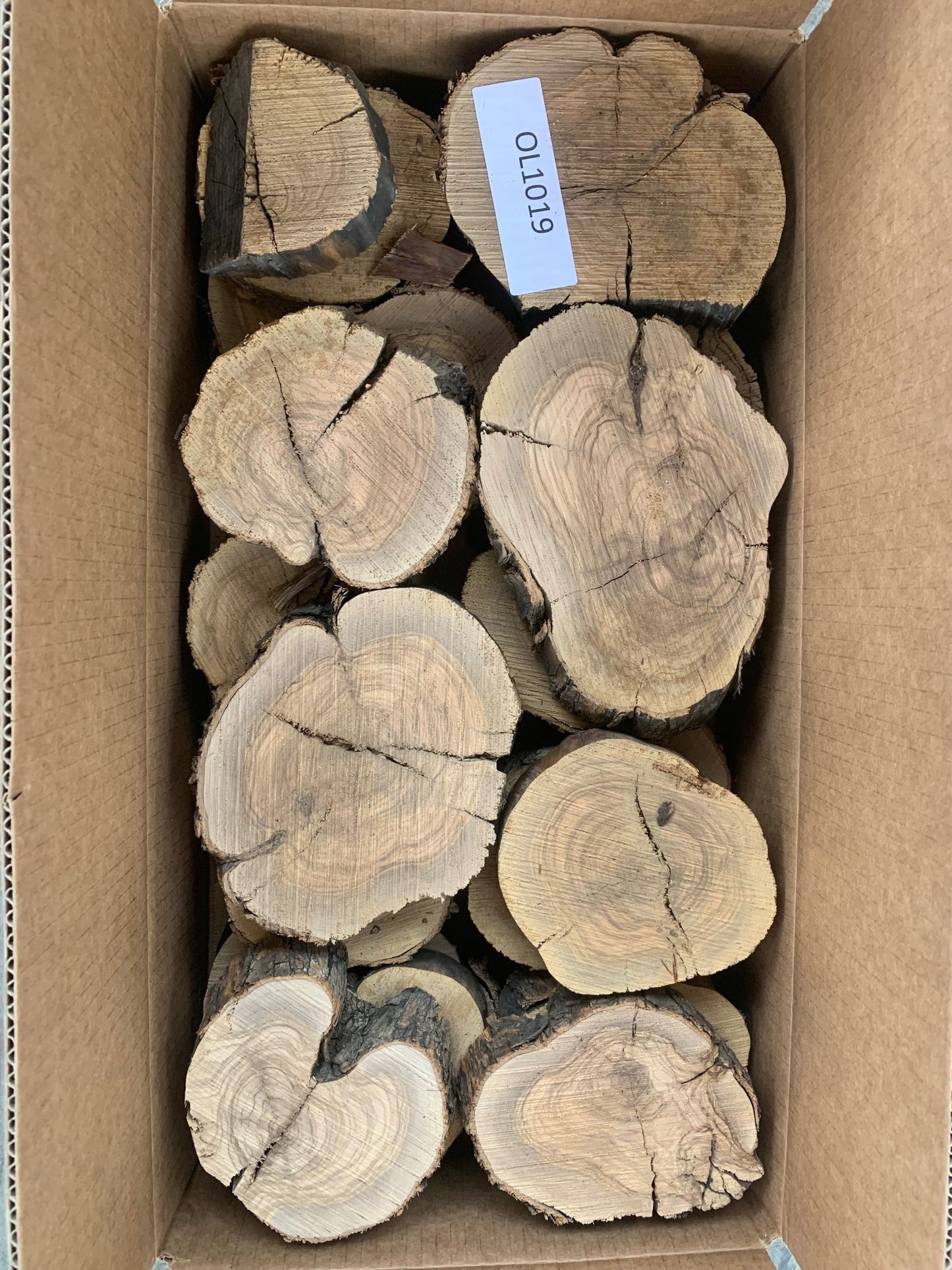 olive wood slices for sale