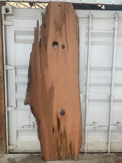 large live edge redwood slab