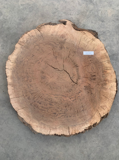 round black walnut burl slab