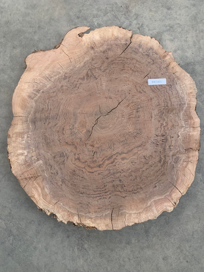 Round black walnut burl slab